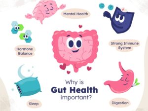 Gut Health