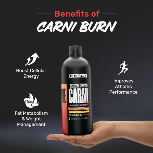 The Carni Burn L Carnitine - Image 12